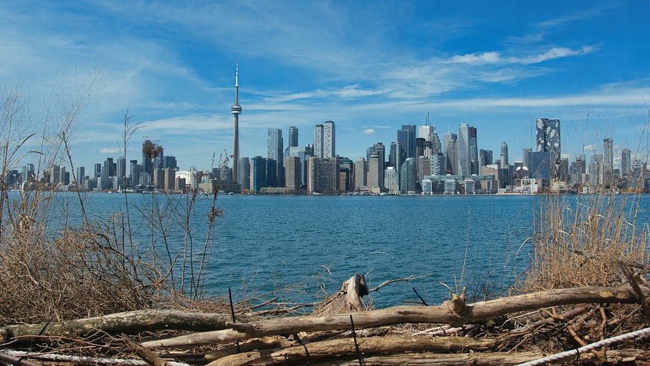 CN Tower and Toronto skyline
